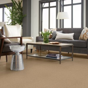 Living room carpet flooring | Carpet To Go