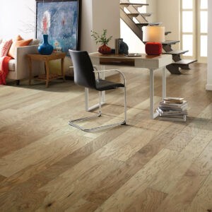 Hardwood Charm | Carpet To Go