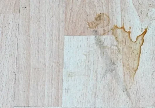 LaminateCare-Bonus-Img-3