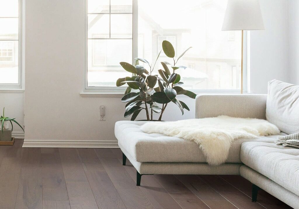 Amazing Hardwood | Carpet To Go